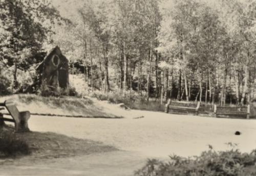 Pozdější fotografie téhož pomníku obklopeného břízami, v popředí lavička