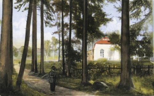 Kolorovaná pohlednice: bílá budova zájezdního hostince s červenou střechou za plotem, před ní lesní cesta s vysokými kmeny