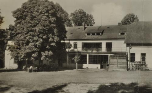 Černobílá fotografie budovy s rozložitým kaštanem, pod ním lidé u venkovních stolů