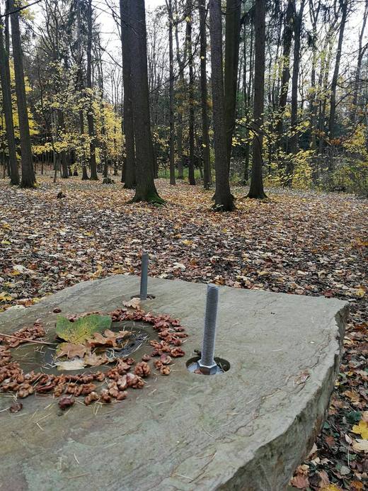 Kamenné pítko pro ptáky v podzimním lese